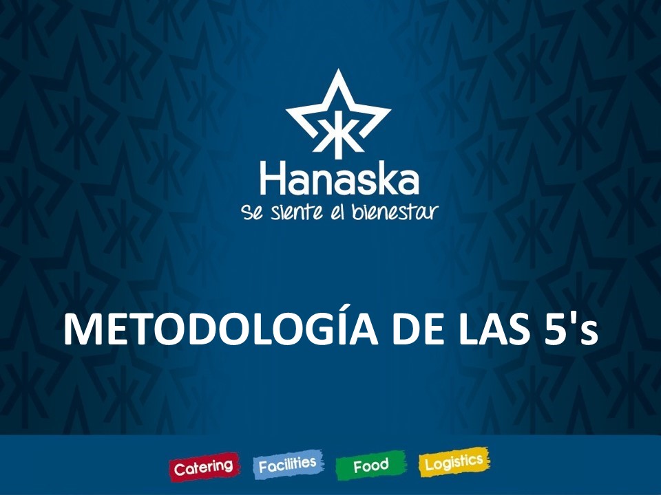METODOLOGIA 5S