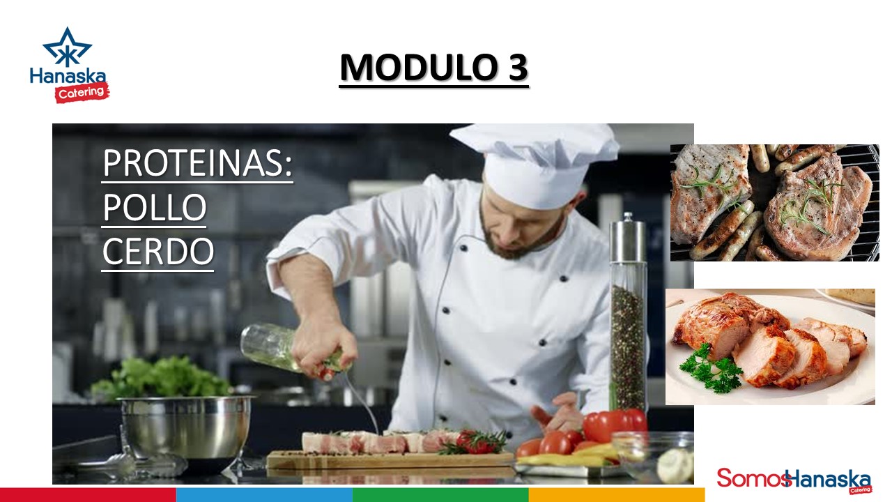 A25 - Modulo 3 (Proteínas Pollo / Cerdo)